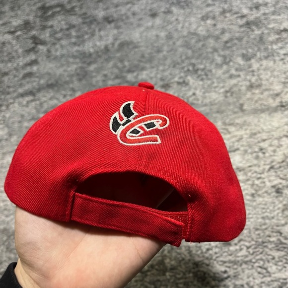 Dale Earnhardt Jr Hat - Picture 3 of 5